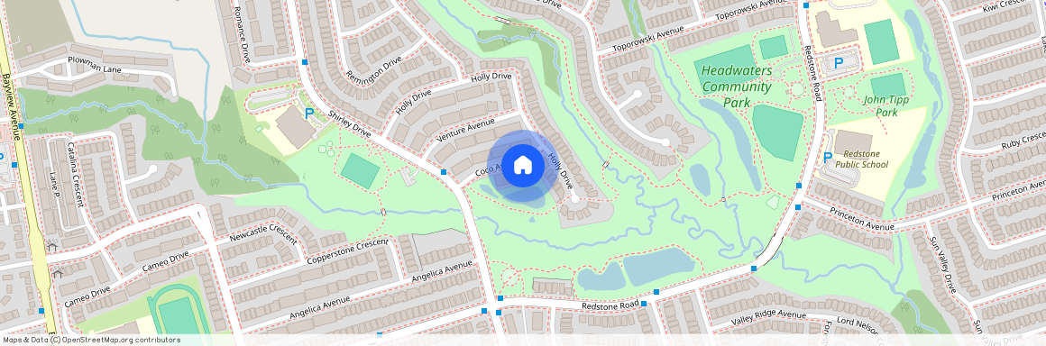 41 Coco Avenue, Richmond Hill