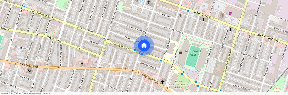 42 Barnesdale Avenue Unit# Lower Level, Hamilton