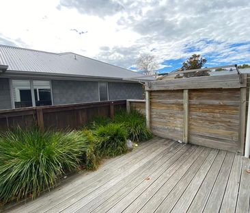 4/5 - Rm D Edgecumbe Street - Photo 3