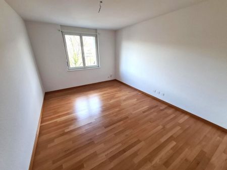 Charmante Wohnung mit grosszügigem Raumangebot - Photo 3