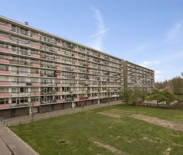 Trekvogelweg 3815 Amersfoort - Foto 4