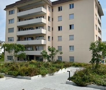 IN THE OAK FIELD – my Jona, my home - Foto 4