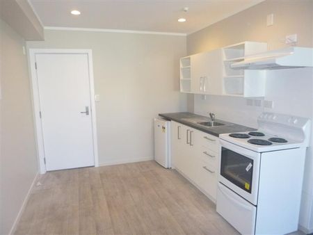 CENTRAL PETONE STUDIO APARTMENT - Photo 3