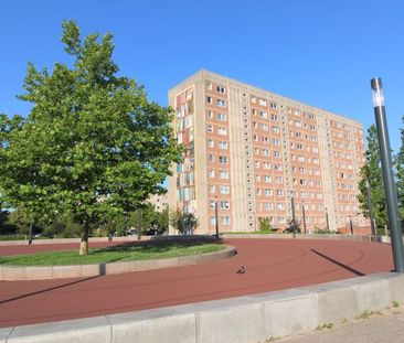 Einzug gut planbar - große 3-Raumwohnung mit Balkon, Dusche und Aufzug - Photo 4