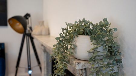 South Street - Photo 4