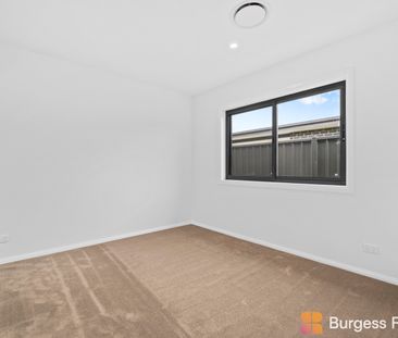 197 Robin Boyd Crescent, Taylor ACT 2913 - House For Rent | Domain - Photo 6