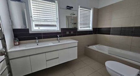 Sunny Spacious Family Home in a Great Location - Photo 3