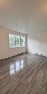 1 CH - 1 SDB - Montréal - $1,099 /mo - Photo 3