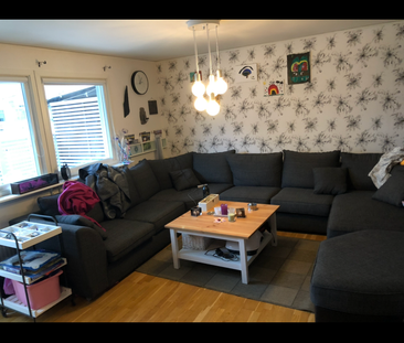 Askims Domarringsväg - Foto 2