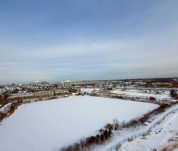 3071 Trafalgar Road #1005 - Photo 5