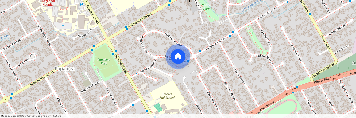 41 Rangiora Avenue, Roslyn, Palmerston North City