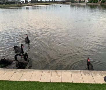 Point Cook - Photo 4