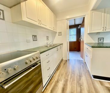 Freshly Renovated 3-Bedroom Home - Move-In Ready! - Photo 4