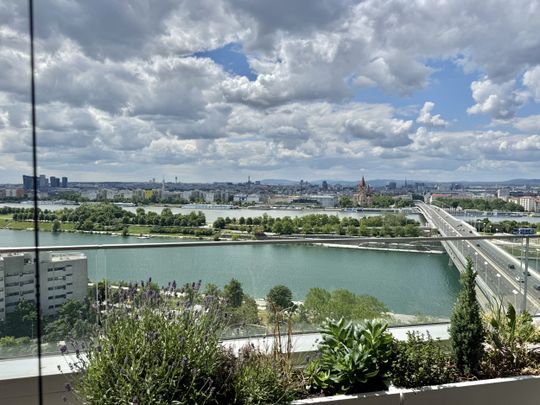 Den schönsten Ausblick auf Stephansdom, Prater & Neue Donau: Doorman, Gym, Pool, Wellness - LUXUS WOHNEN - Foto 1