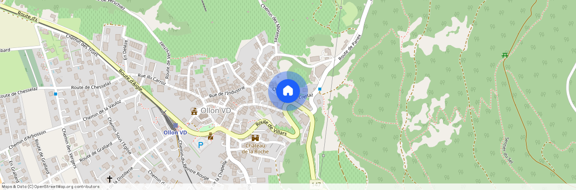 1867, Ollon VD, Chemin du Raisin, 7