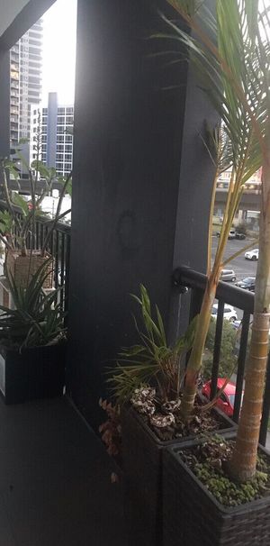 South Brisbane - Photo 1