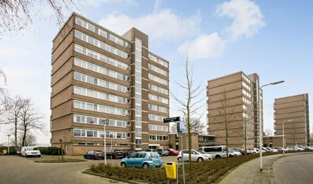 Saffierstraat 0ong, 2403 Alphen aan den Rijn, Nederland - Photo 2