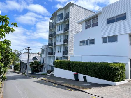 Unit 2D, 17 Scanlan Street, Grey Lynn, Auckland - Photo 3