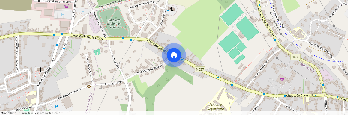 Chaussée Roosevelt, 195, 22, 4420, Saint-Nicolas