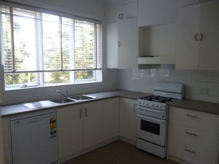 11/12 Williams Road, Windsor VIC 3181 - Apartment For Rent | Domain - Photo 3