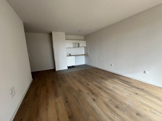 Location Appartement 1 pièce 41m² EAUNES 31600 - Photo 1