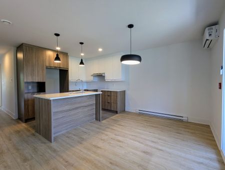 Appartement - 201-1880 Route Édouard-VII - Photo 3