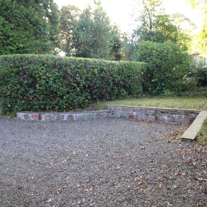 1 bedroom cottage to rent - Photo 1