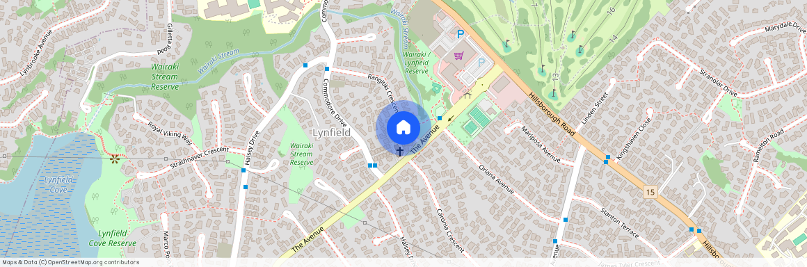 29 Rangitiki Crescent Lynfield Auckland City 1042 New Zealand