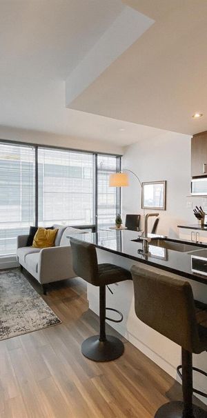 Studio - 1380 René-Lévesque Ouest, Montréal - Photo 1