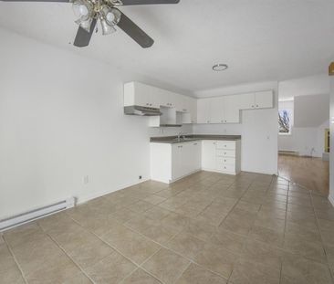 223-3 - 223 Rue De Malartic, Gatineau - Photo 1