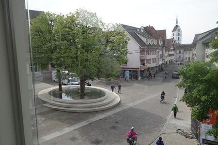 Moderne Dachwohnung mit ca. 182 m2 an gesuchter Wohnlage in Riehen/BS - Foto 5