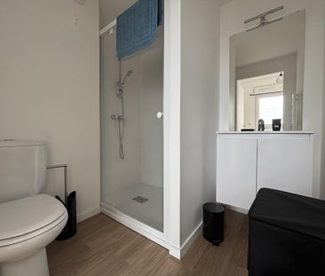 Location Appartement 1 pièce Meublé 18m² NANTES 44300 - Photo 5
