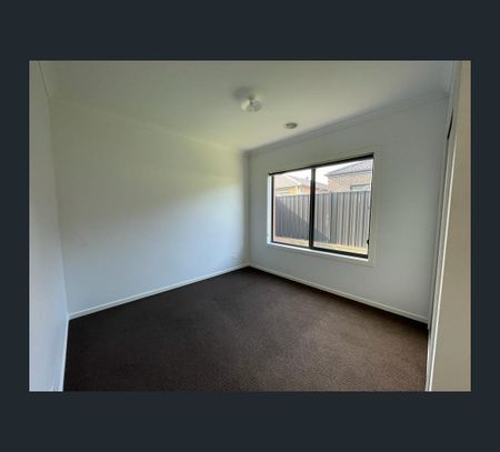 16 Festivity Street, Tarneit, Vic 3029 - Photo 4