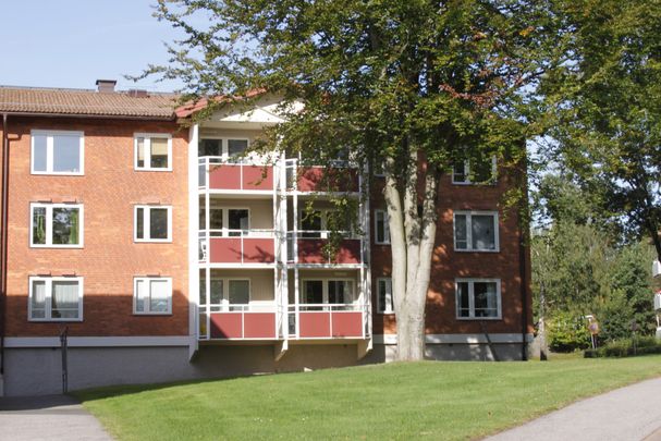 Vilboksvägen 11, 293 37, OLOFSTRÖM, Sverige, Vilboken - Photo 1