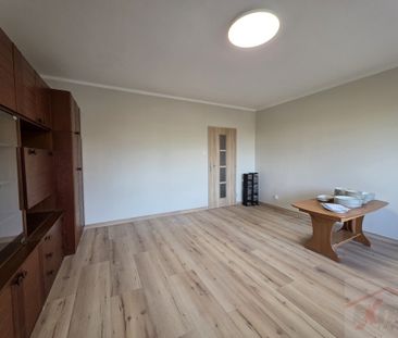 MIESZKANIE na WYNAJEM SZCZECIN (439250) - Photo 6