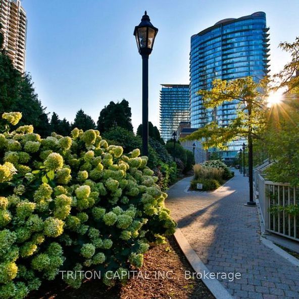 For Lease - 9 Windermere Avenue Unit# TH99, Toronto, Ontario - Photo 1