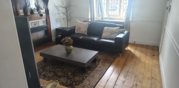 Kingsville - Photo 2