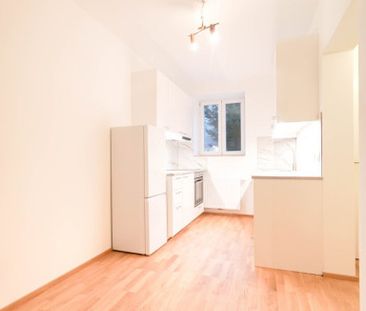 Souterain-Wohnung im Herzen von Krems - Garten zur Mitbenützung - Foto 4