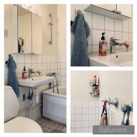 Munkhättegatan, Malmö - Photo 4