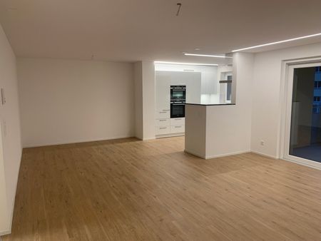 "grosszügige, moderne 2.5-Zimmer-Wohnung mit Lift und eigenem Waschturm" - Foto 3