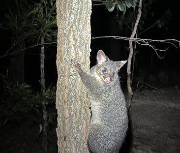 Martins Creek - Photo 3