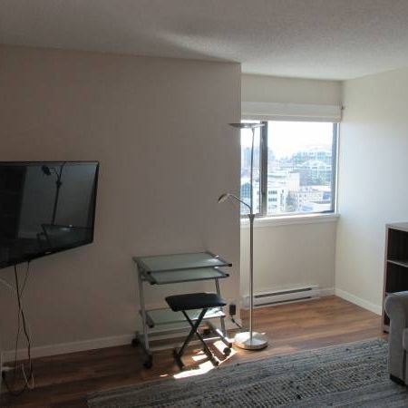 FURNISHED 1 Bdrm CONDO with a Spectacular View - Photo 3