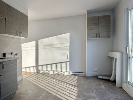 Promenade Masson : logement d'une chambre en pièce double, offert en location non-meublée - Photo 5