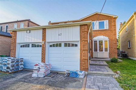 For Lease - 47 Whiteleaf Crescent Unit# Bsmt, Toronto, Ontario - Photo 3