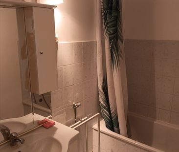 Location Appartement 1 pièce 30m² - Photo 3