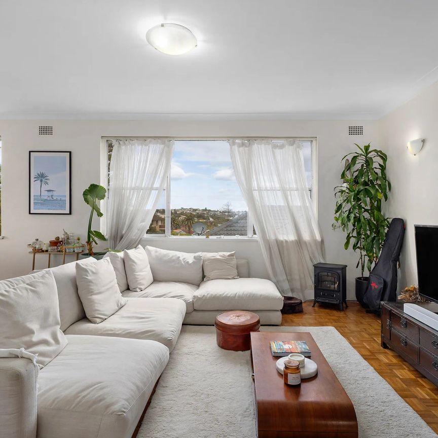 Another Successful Result By David Ibanez - Photo 1