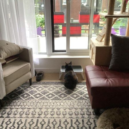 Appartement/condo 4 1/2 - Photo 3