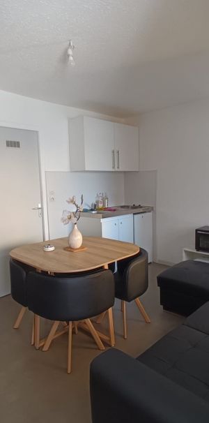 Location Appartement 1 pièce 19m² BELFORT 90000 - Photo 1