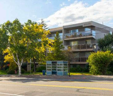 Sansar Apartments — 1 Bedroom available at 1140 Hillside Avenue, Victoria - Photo 3