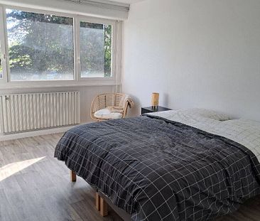 Location appartement 3 pièces 72.34 m² à Ferney-Voltaire (01210) - Photo 4